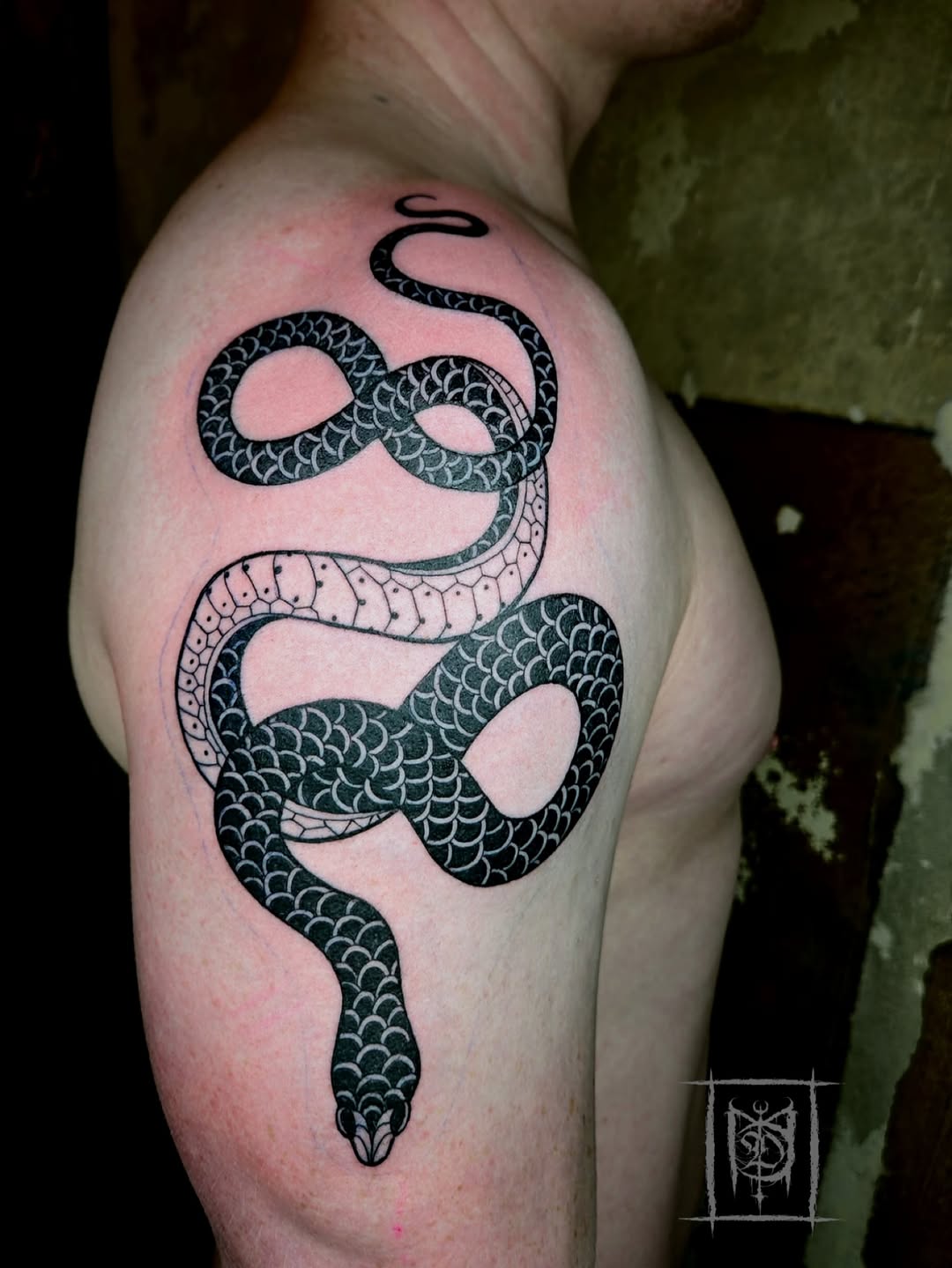 Coiled blackwork snake with detailed scales and negative space