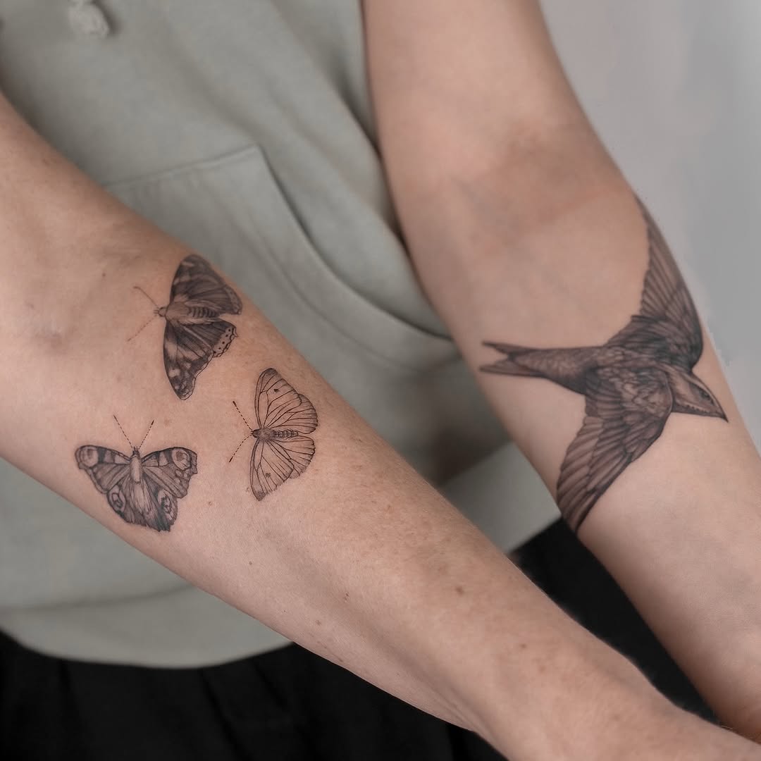 Delicate fine-line butterfly trio and a graceful hummingbird