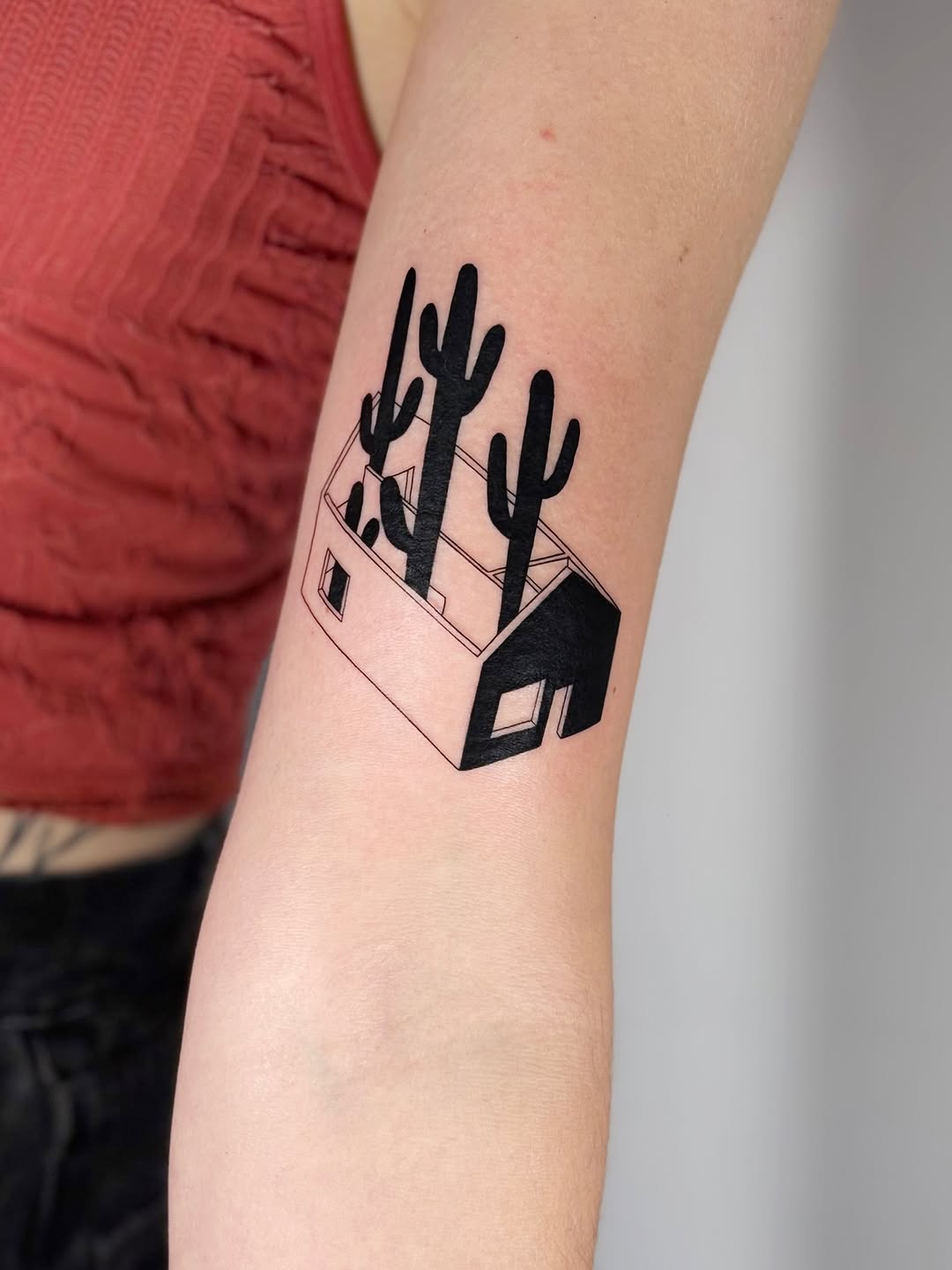 Isometric cube home with tall cacti sprouting upward.