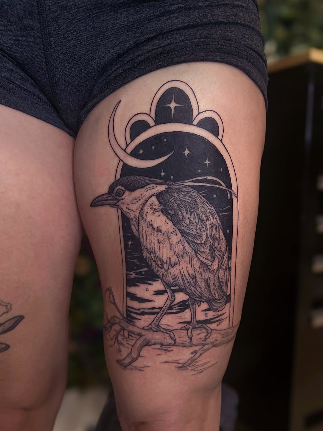 Night-heron perched within a celestial arch under stars