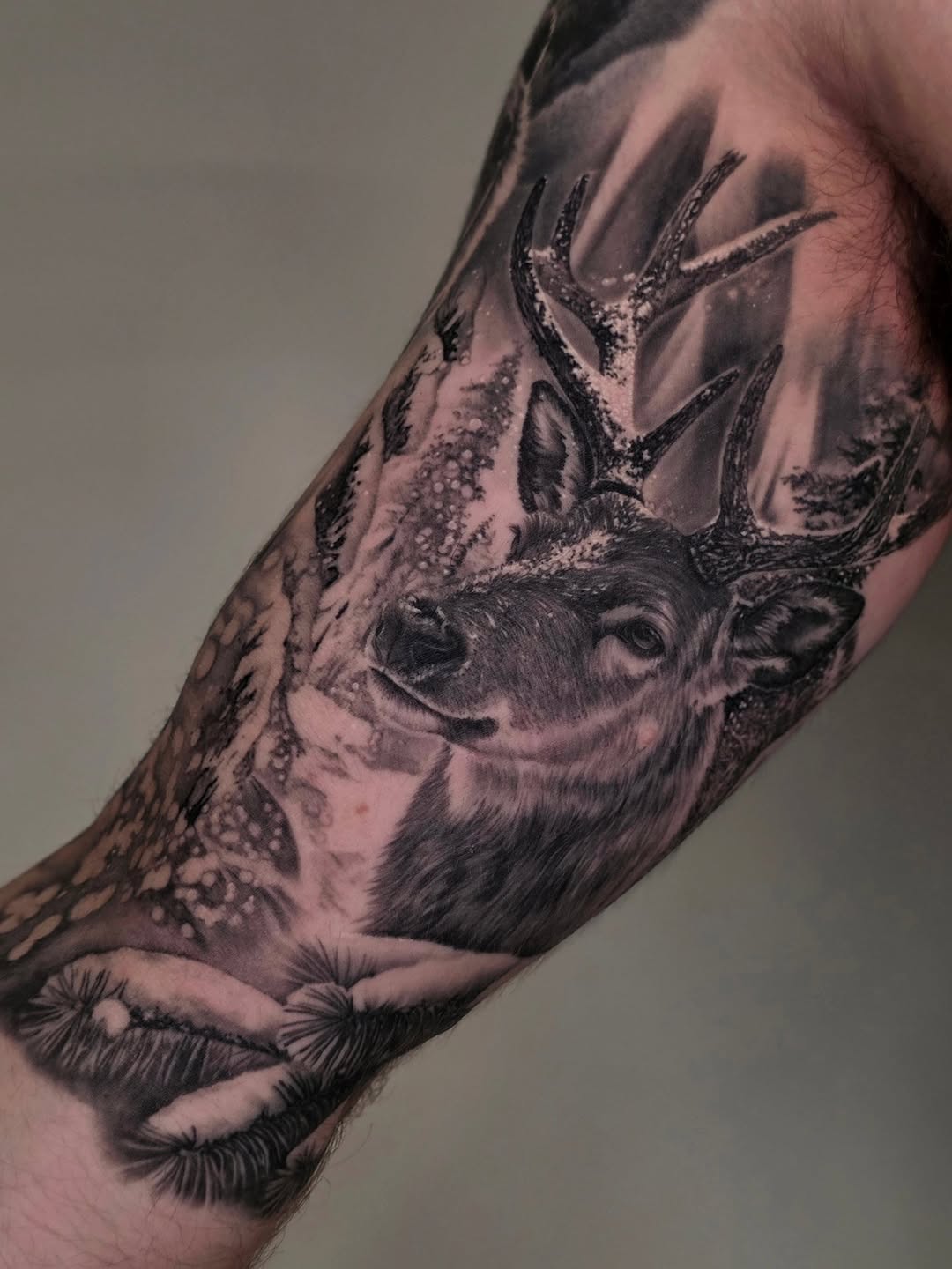 Hyper-realistic deer head with snow-dusted forest backdrop.