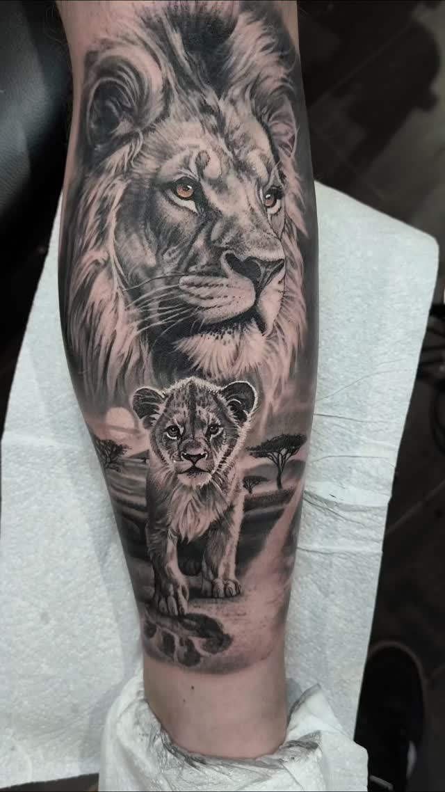 Majestic black-and-gray lion with cub on sunlit savannah