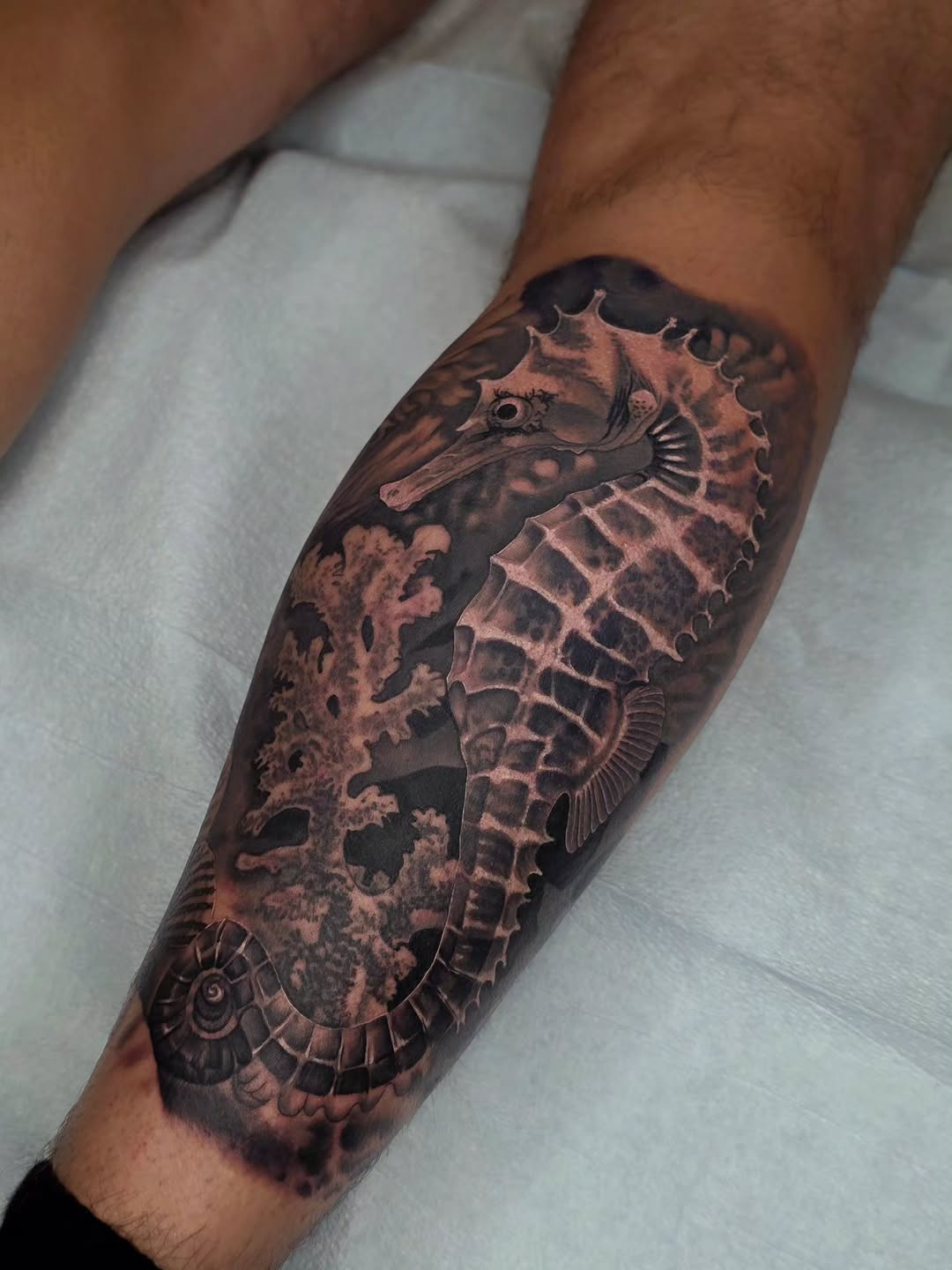 Hyper-detailed black-and-gray seahorse with coral textures