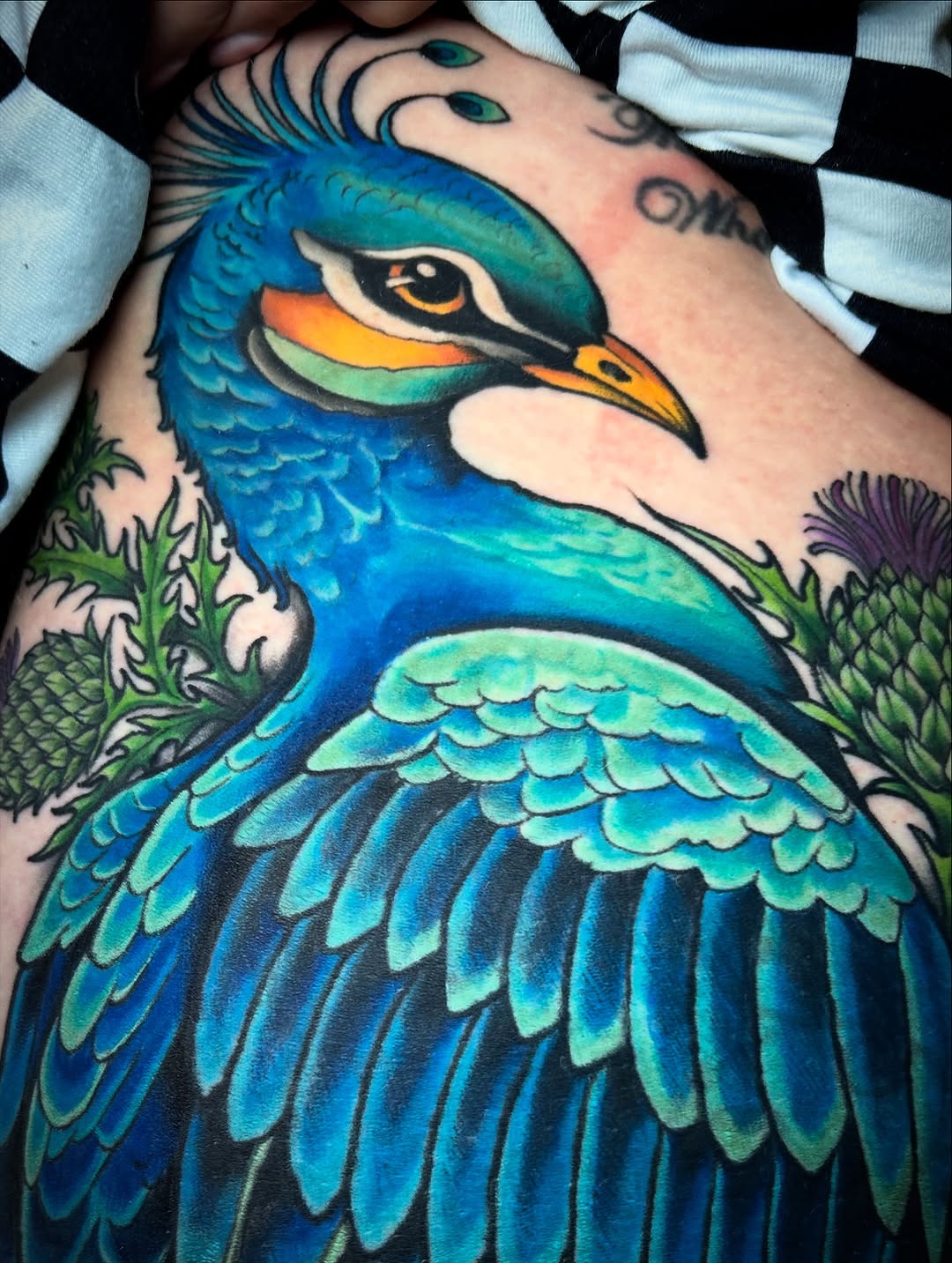 Vibrant neo-traditional blue peacock with lush plumage