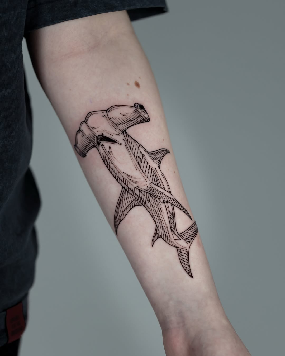 Hammerhead shark with engraving-style linework and crosshatching