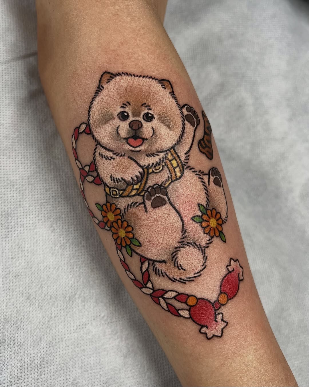 Whimsical cartoon pomeranian with flowers and rope