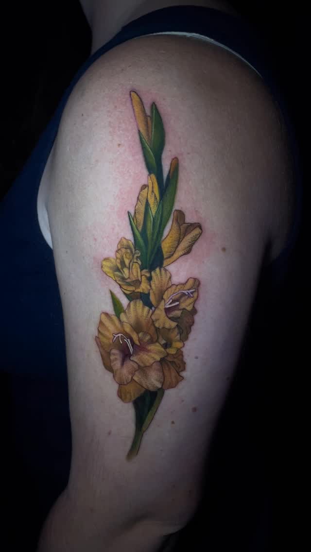 Elegant yellow gladiolus bouquet with green leaves, realistic shading