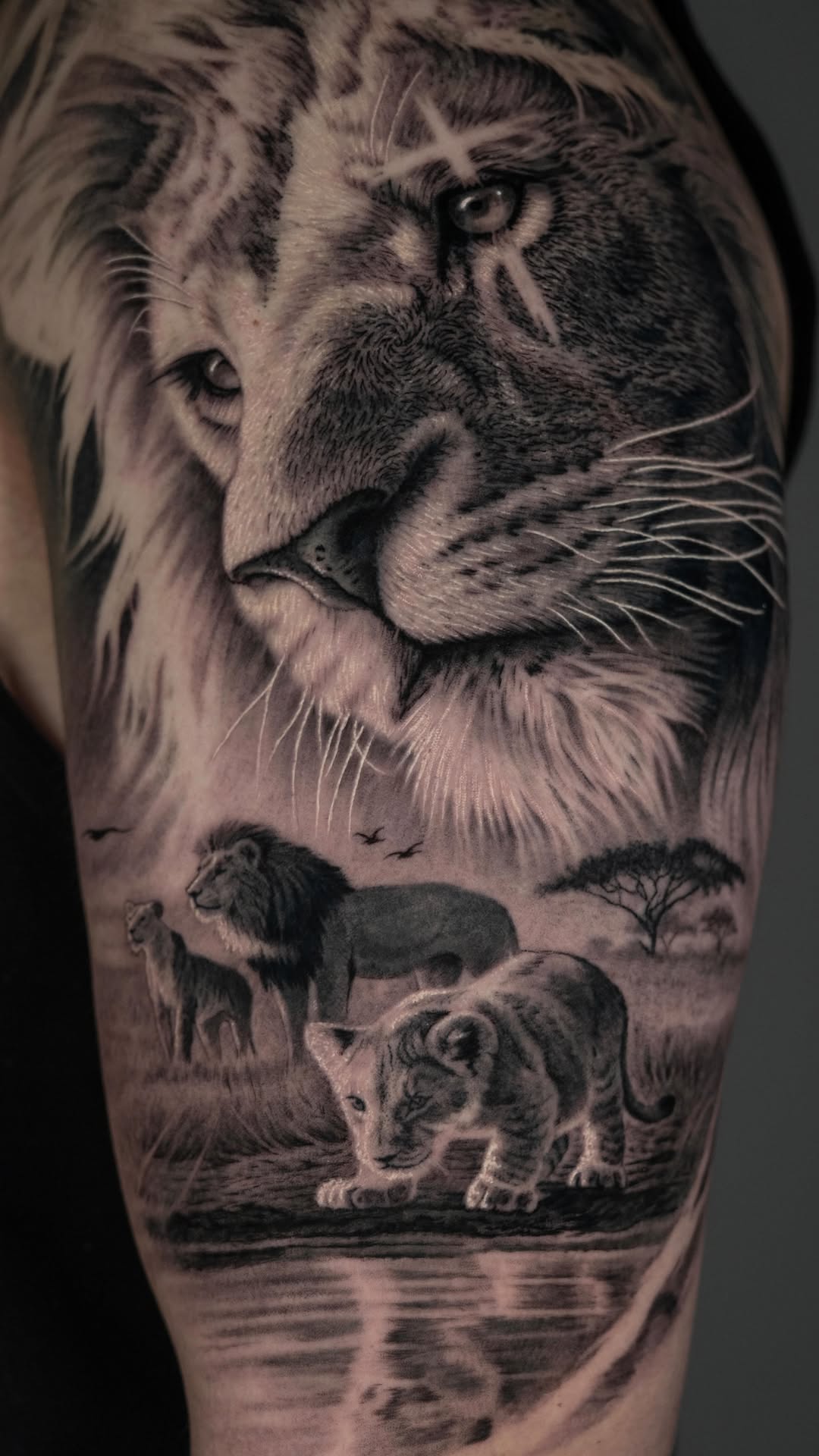 Hyperrealistic lion tattoo