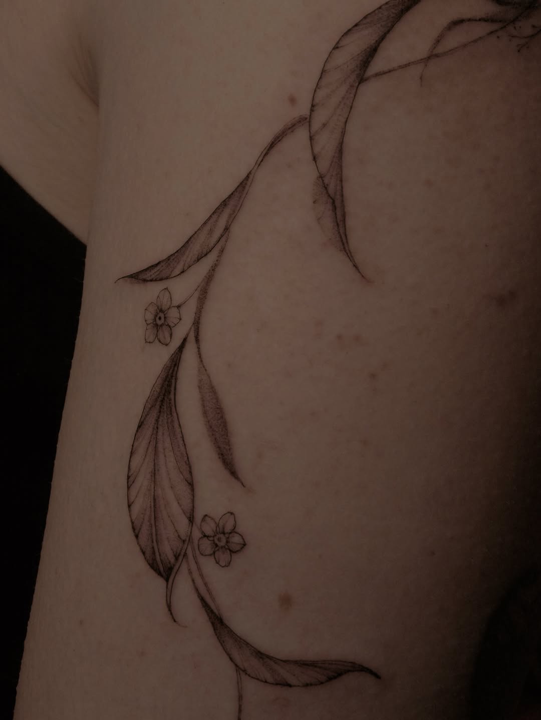 Elegant fineline botanical vine with delicate blossoms