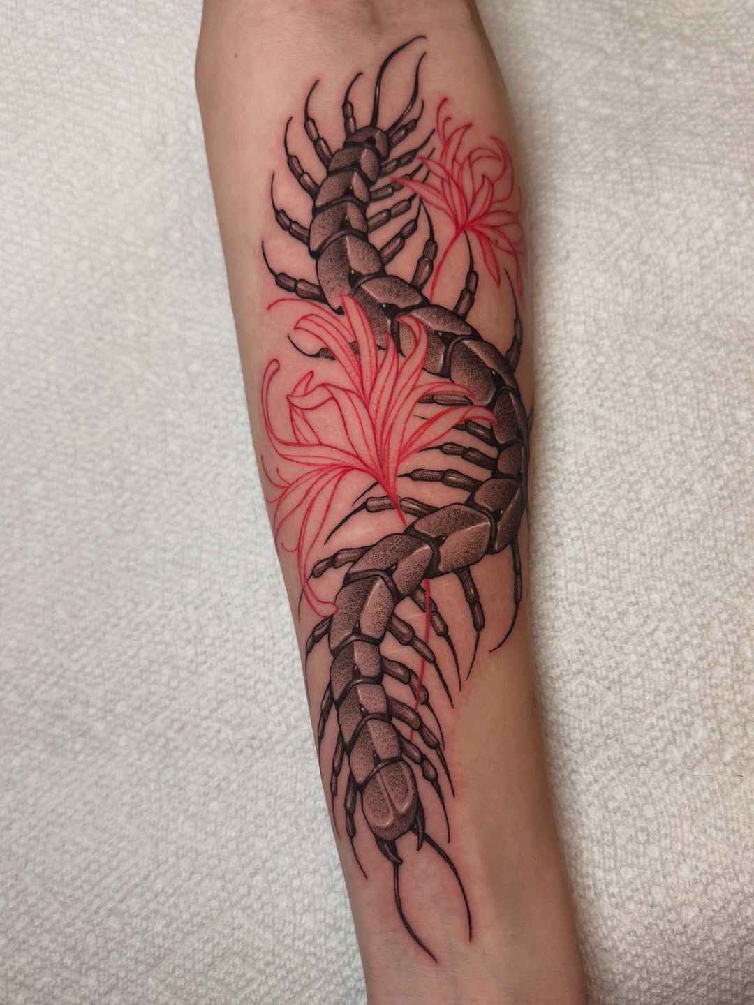 Bold black scorpion intertwined with crimson floral accents