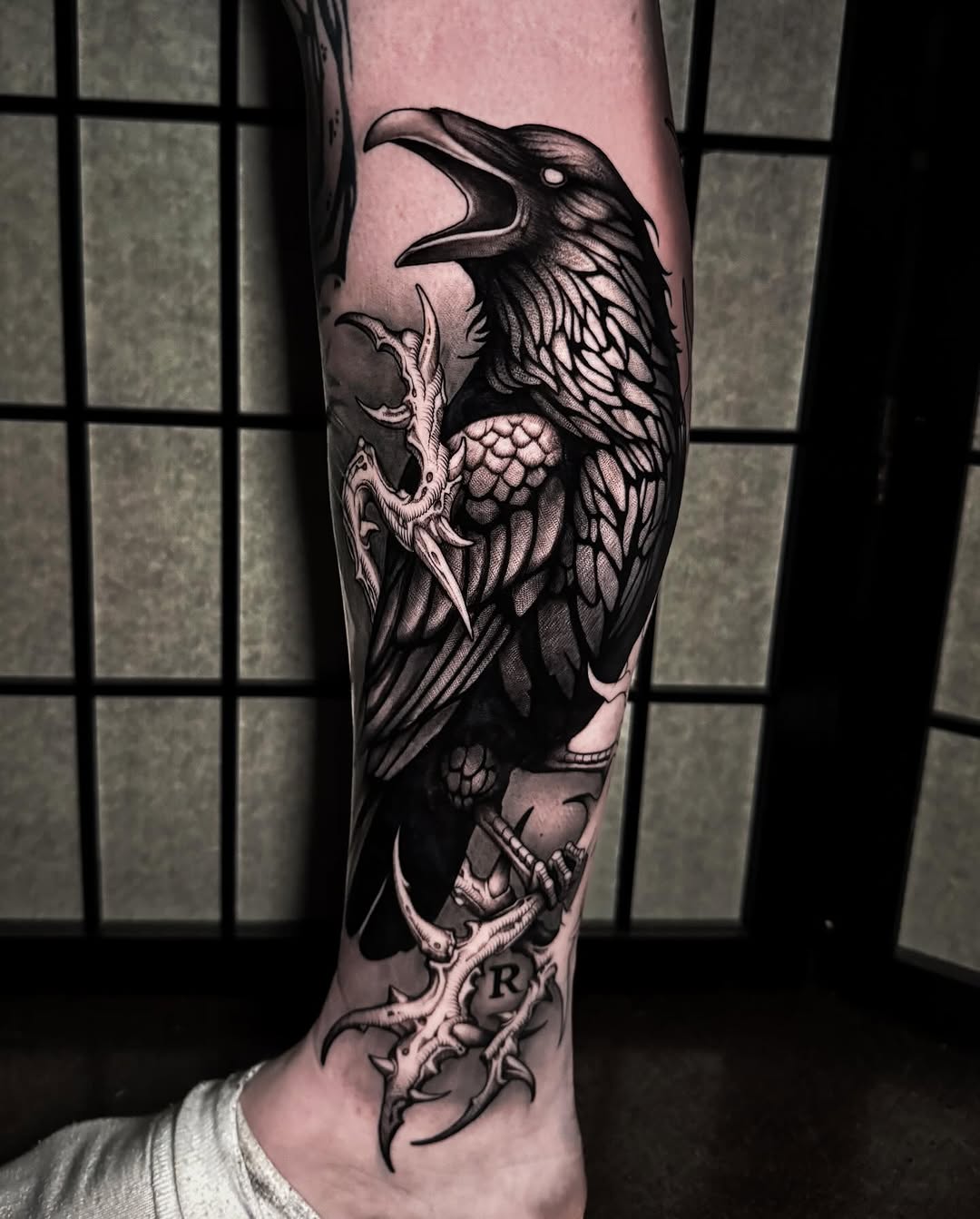 Bold black-and-gray raven with detailed feather textures.