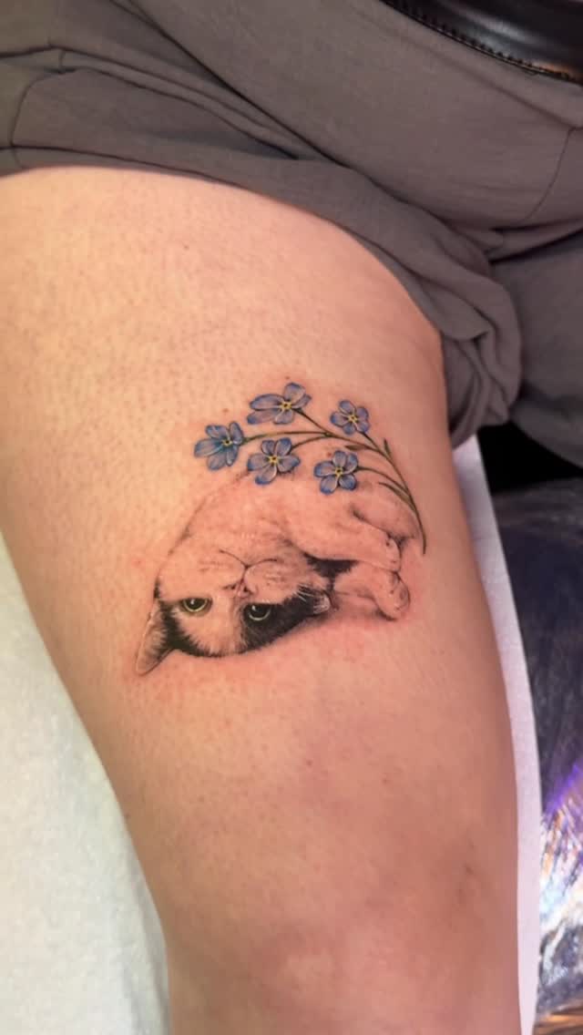 Curled white cat portrait with blue forget-me-not blossoms