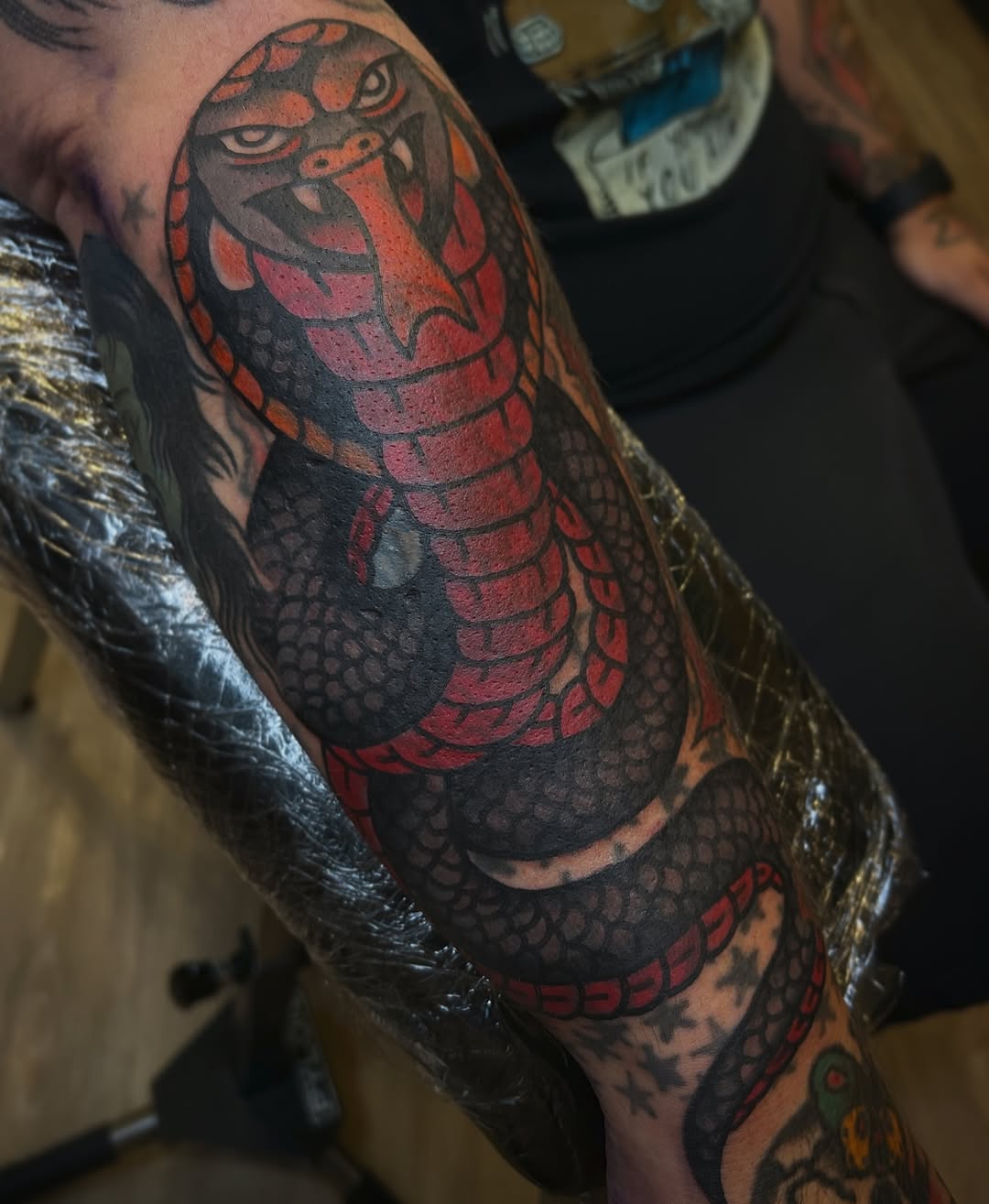 Bold black-and-red coiled serpent wraps the forearm
