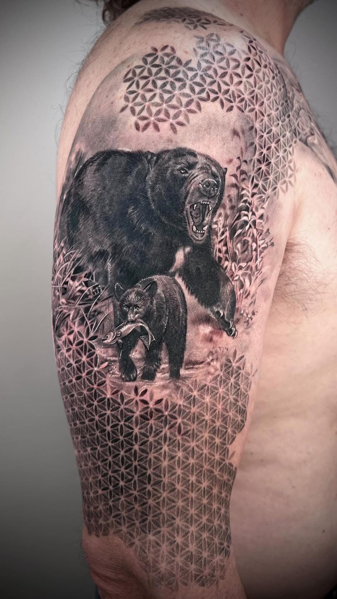 Roaring black bear with cub amid geometric hexagon forest