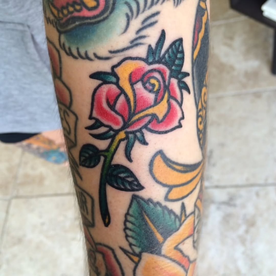 Bold traditional rose with vivid red petals and green leaves.