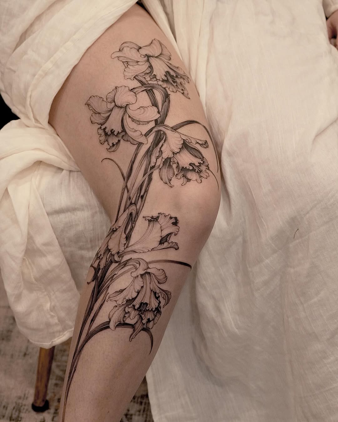 Elegant black-line lent-lily with flowing stems