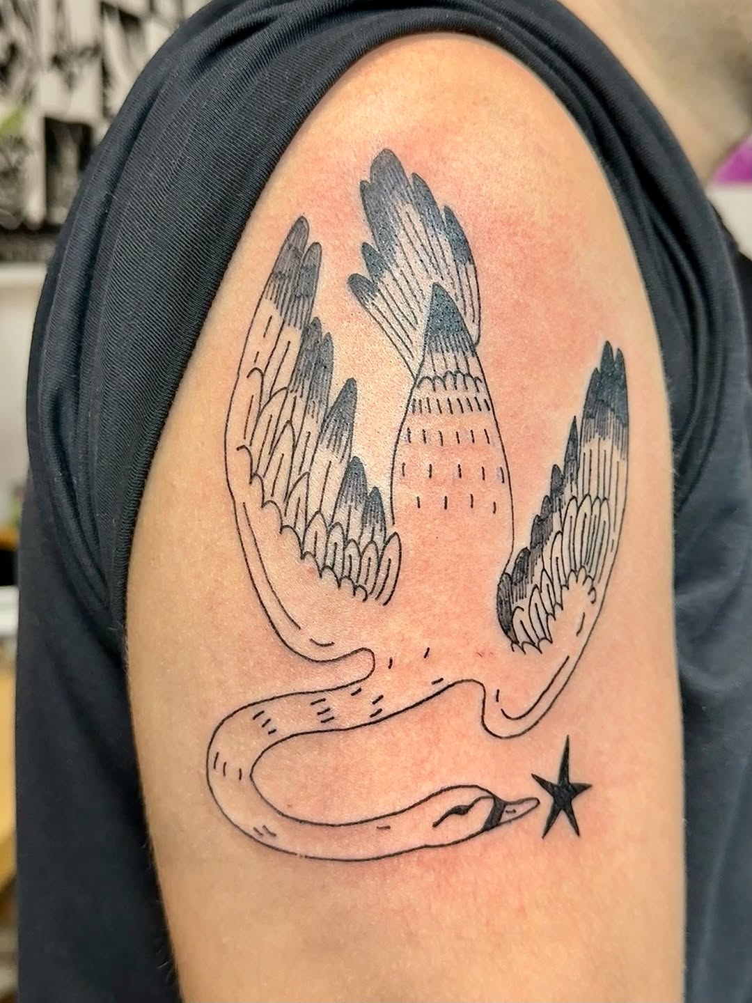 Whimsical winged emblem with ribbon-like swirl and star.