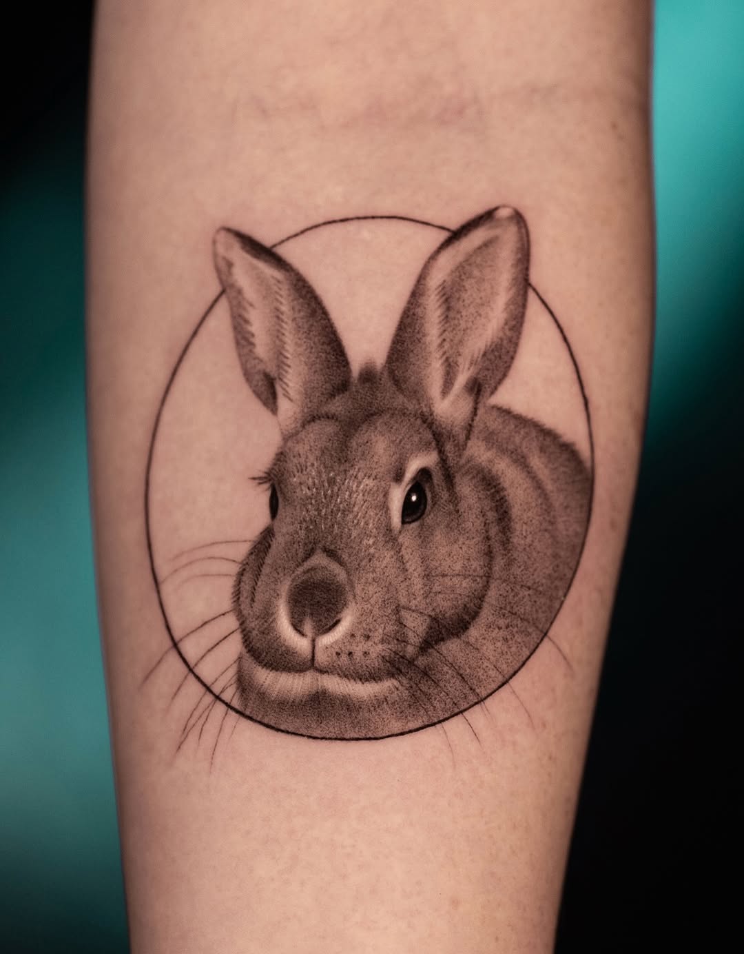 Delicate rabbit head with stippled shading inside a circle