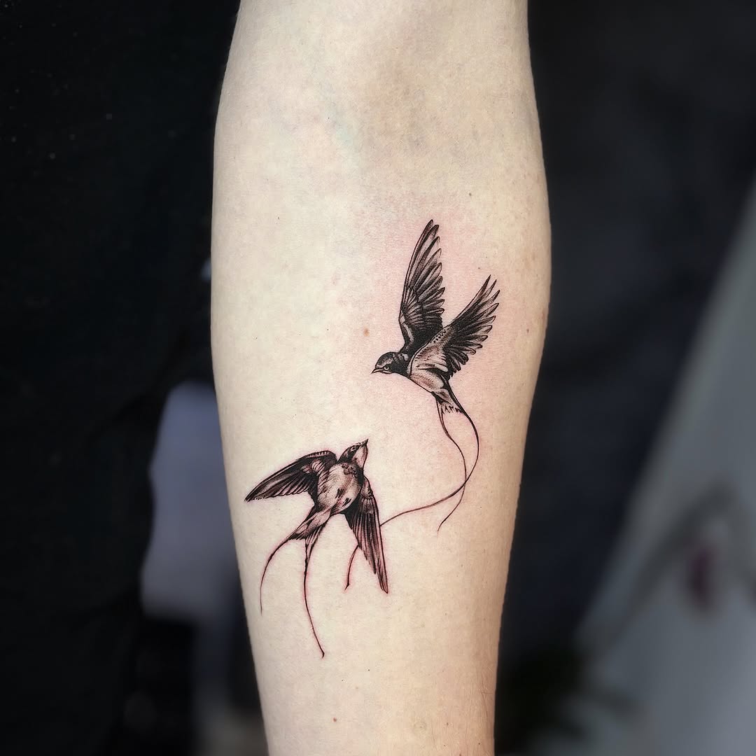 Minimalist blackline swallows in flight with flowing tails.