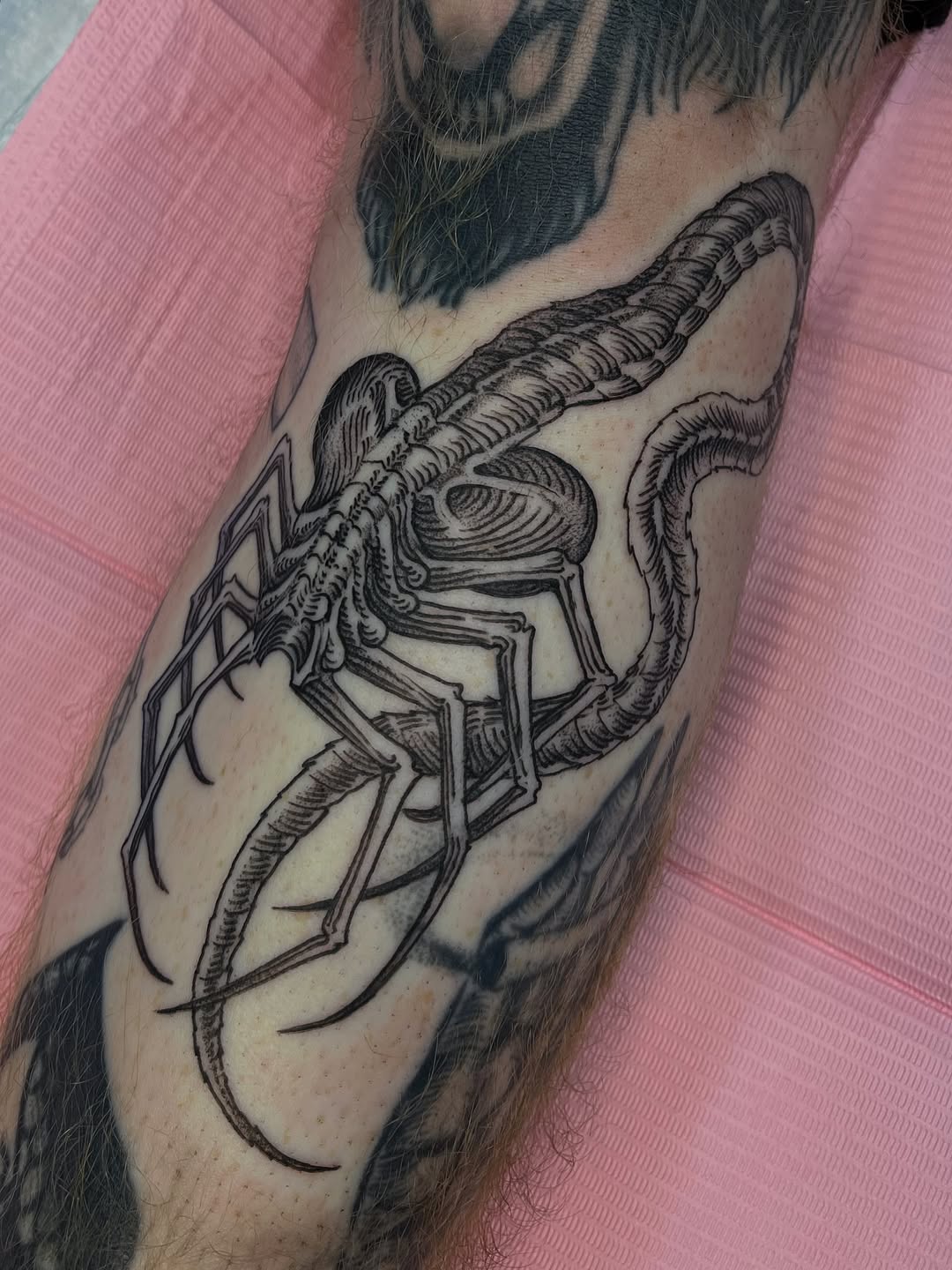 Intricate blackwork facehugger with bold linework