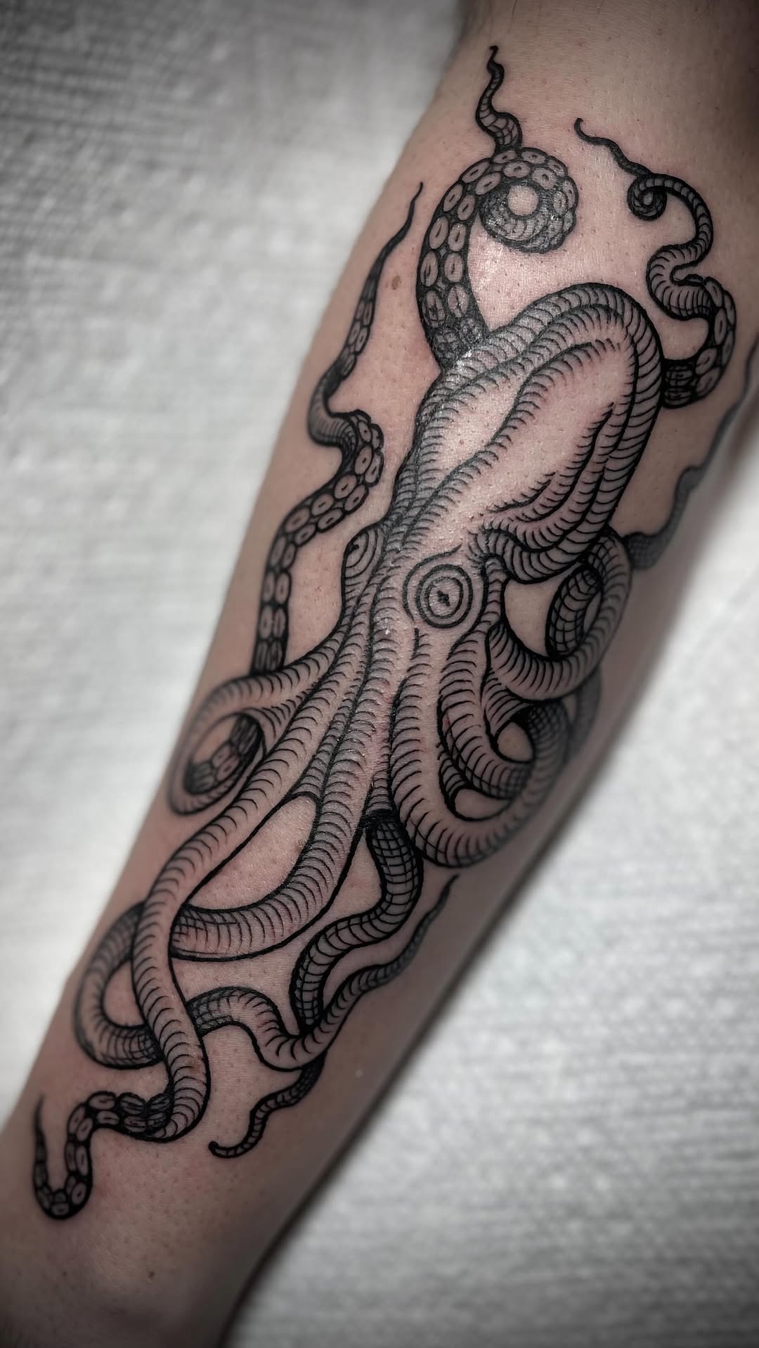 Bold blackwork octopus with flowing, intricate linework
