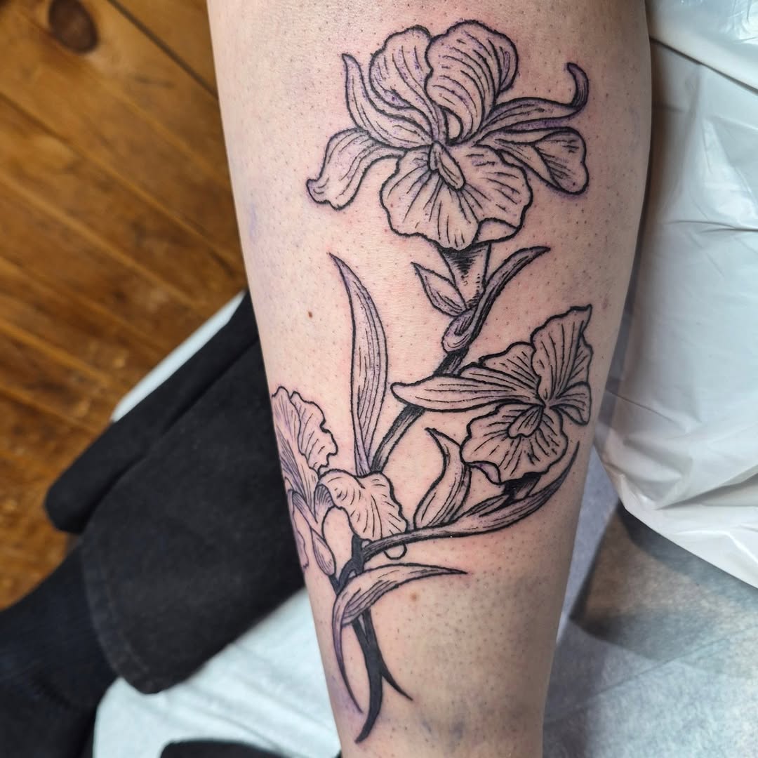 Bold iris stems with crisp linework and delicate shading