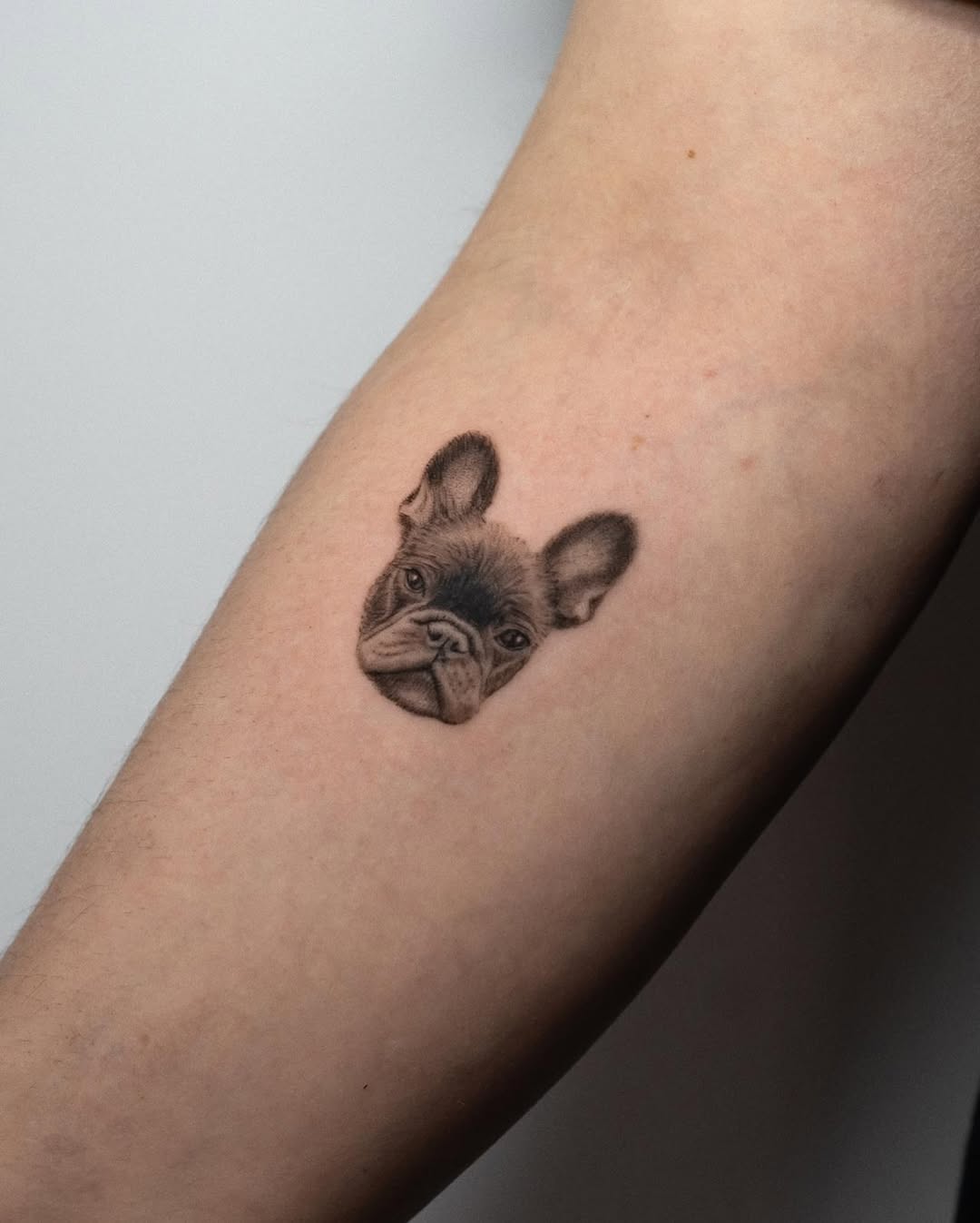 Small black-and-gray French Bulldog head with delicate shading