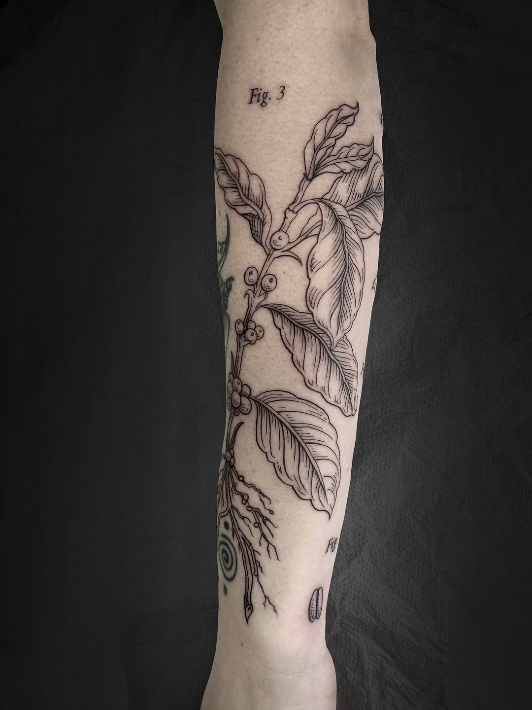 Berries tattoo subject