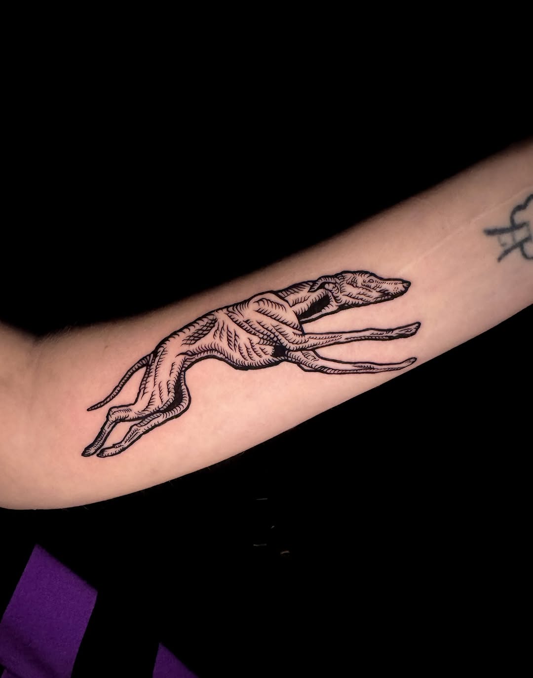 Engraving-style linework of elongated skeletal hand on forearm.