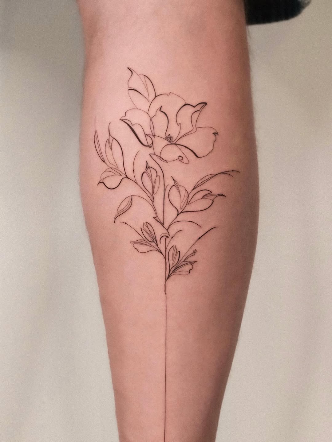 Elegant fine-line flower with a long slender stem