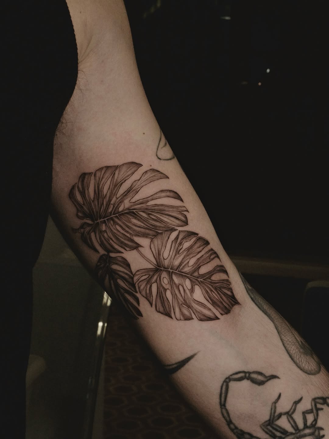 Monstera leaf cluster in bold linework shading