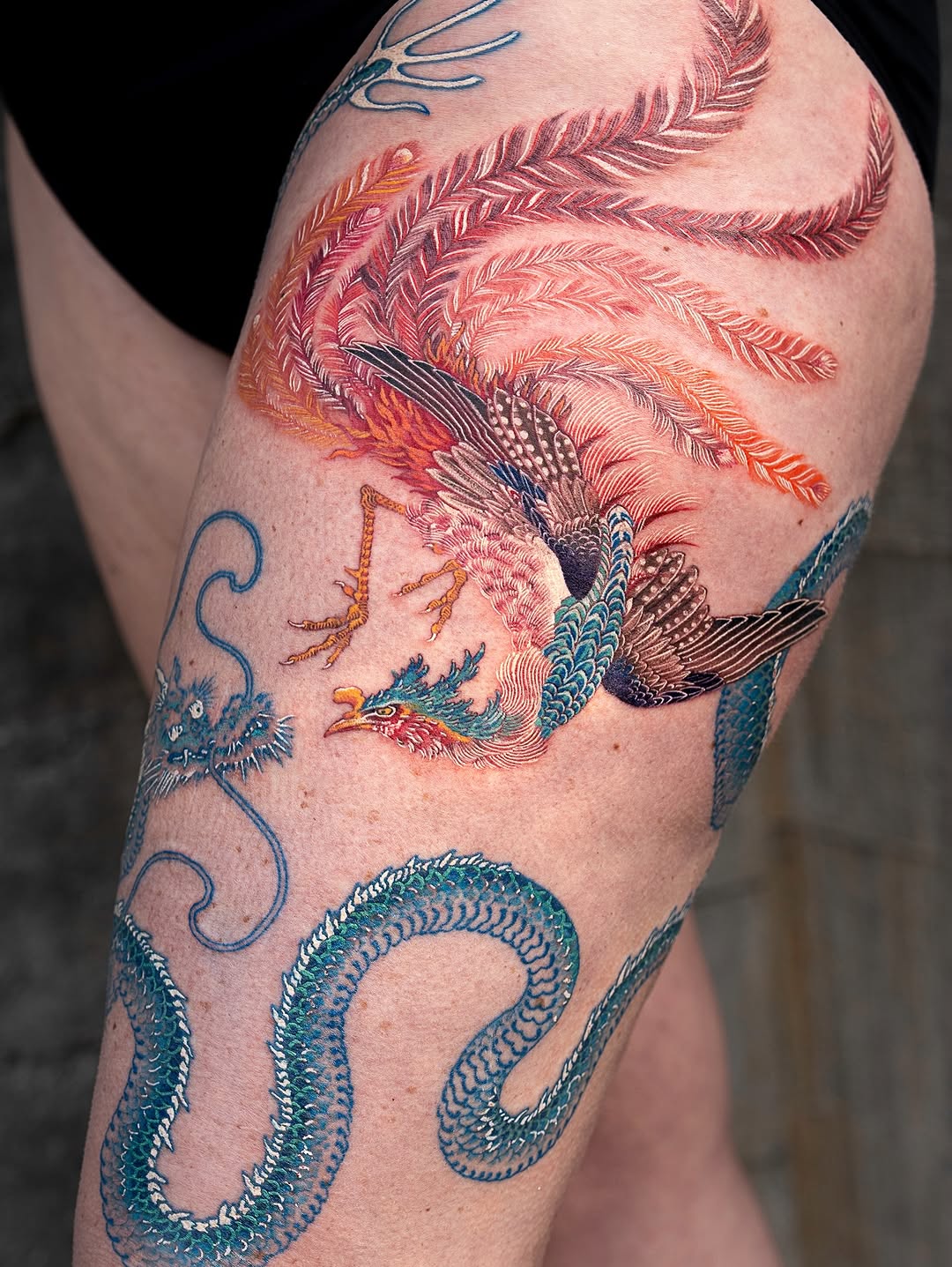 Traditional phoenix and blue dragon in bold, vivid color