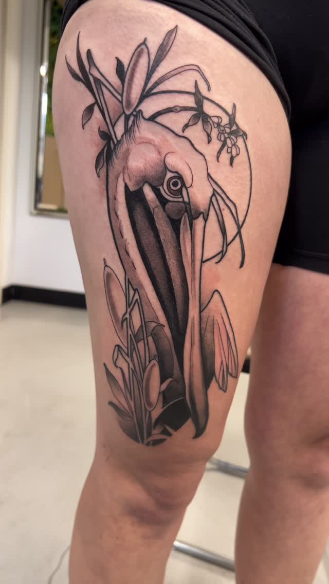 Bold black-and-gray pelican with framing botanical leaves