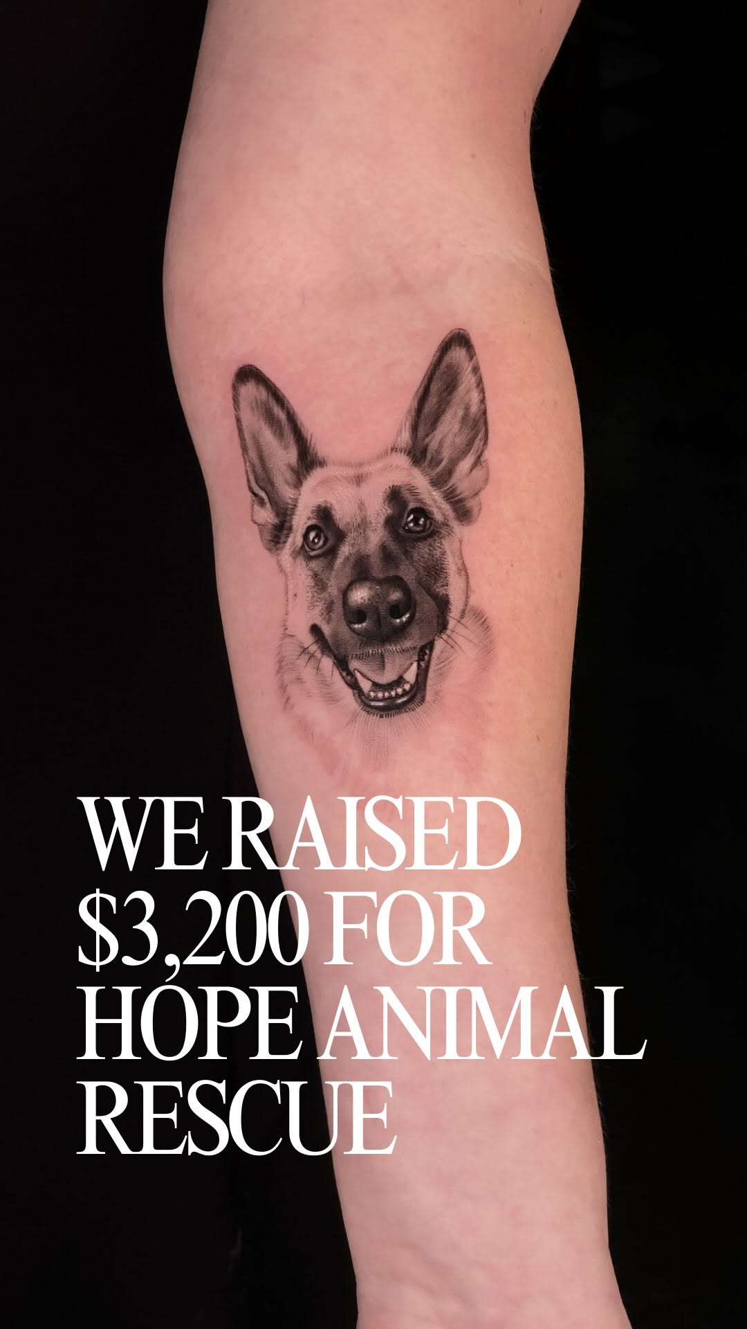 Hyperrealistic black and gray dog portrait on inner forearm