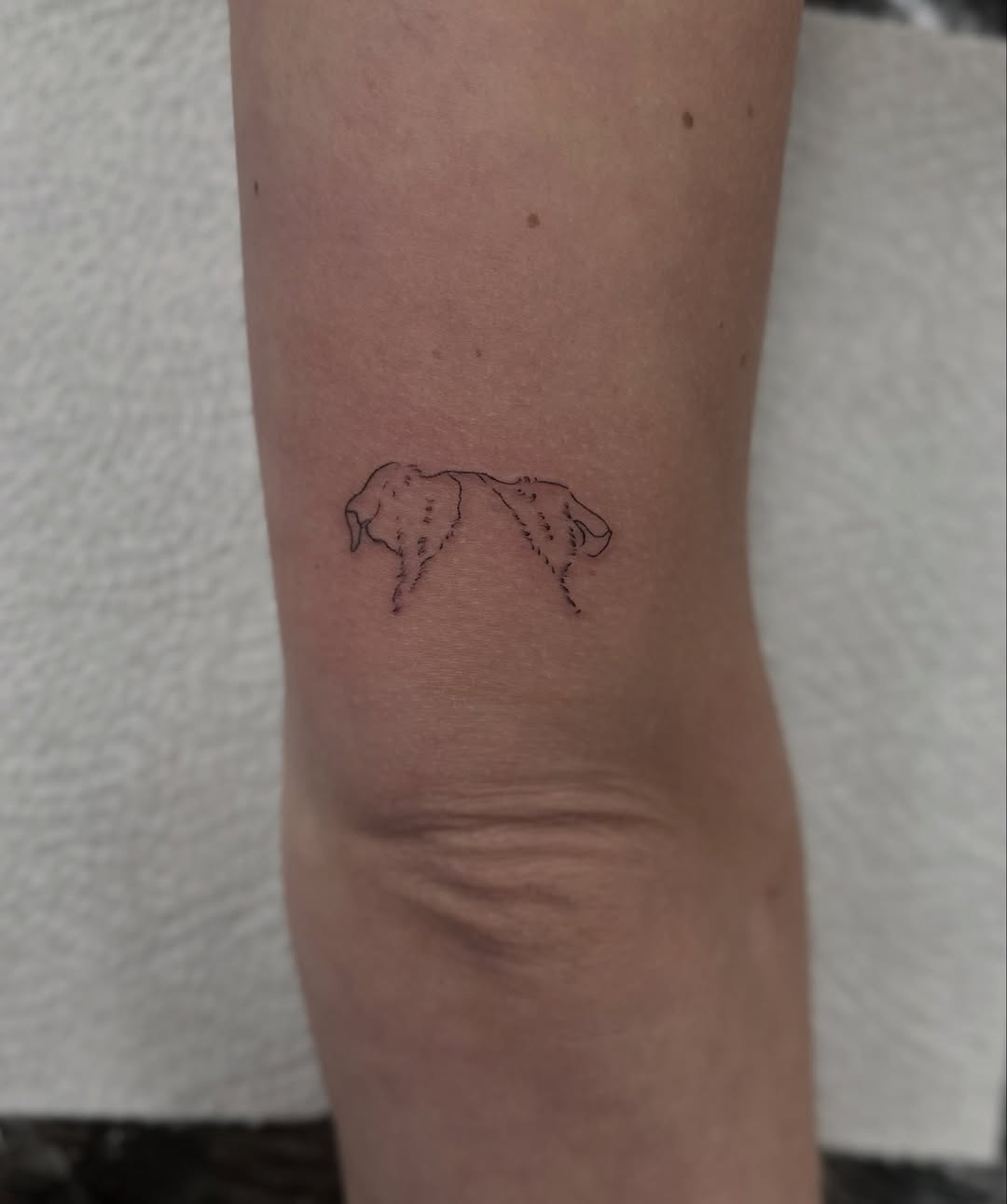 Minimalist fine-line duo of elephants, delicate and airy.