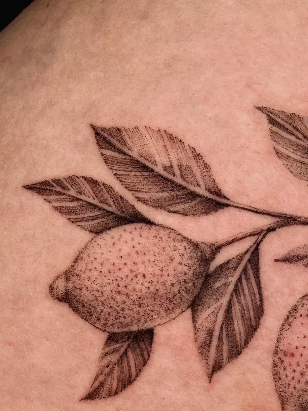 Black-and-gray botanical branch with speckled fruit