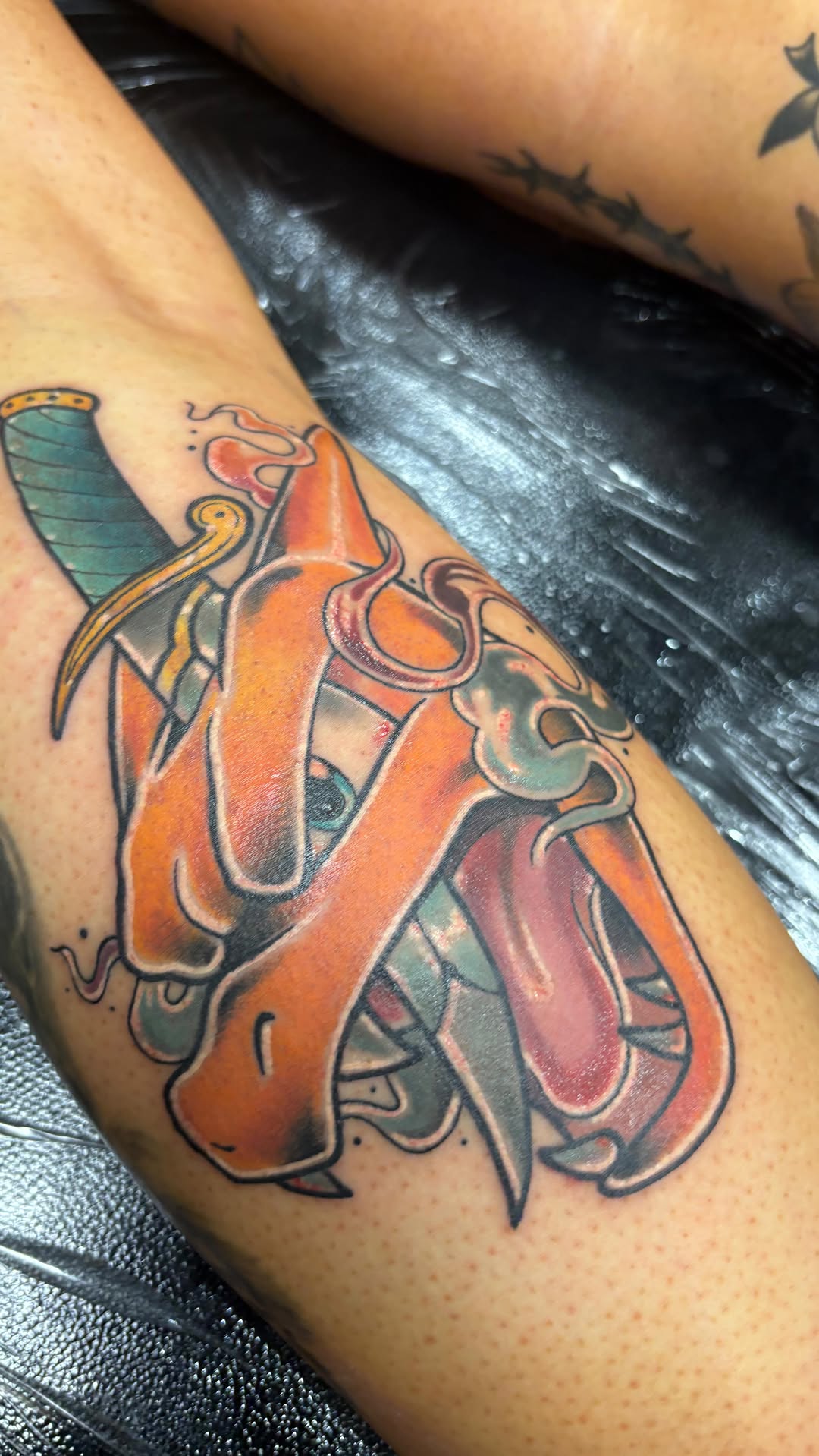 Vibrant traditional Charizard with bold orange and green wings