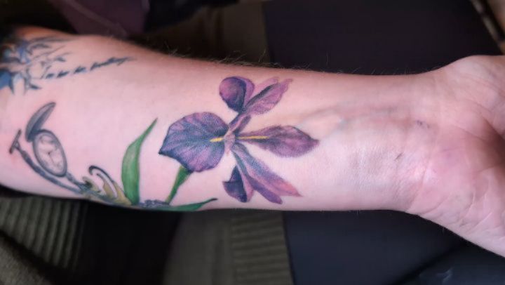 Delicate purple iris in watercolor botanical style.