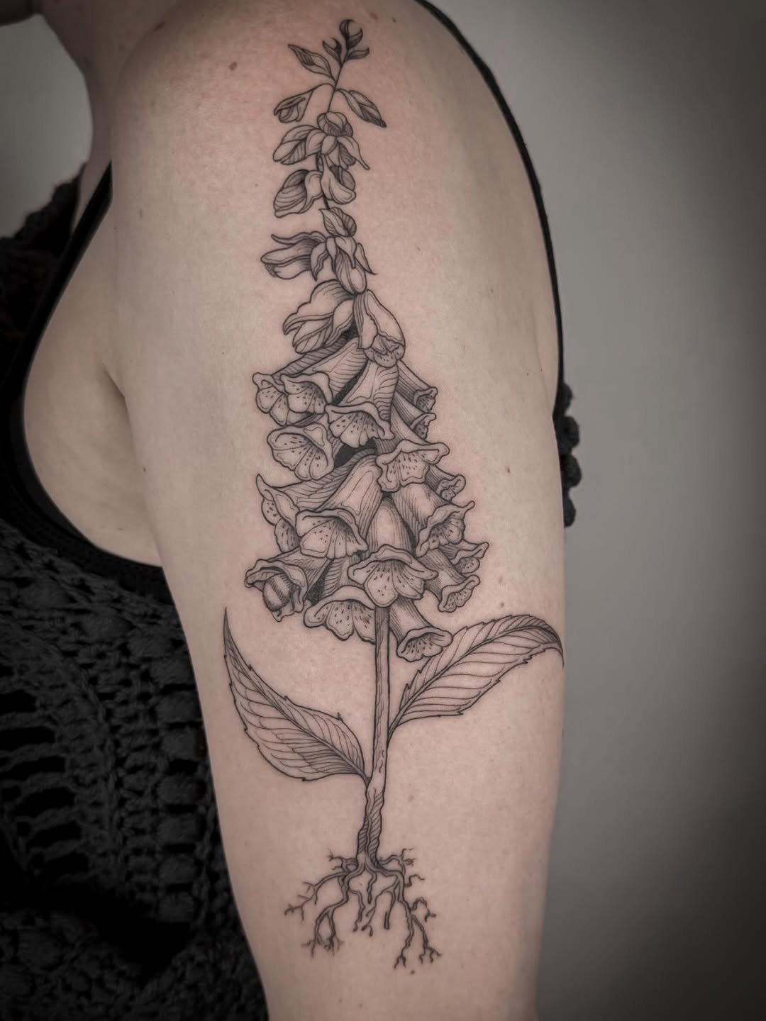 Tall foxglove botanical tattoo with fine linework