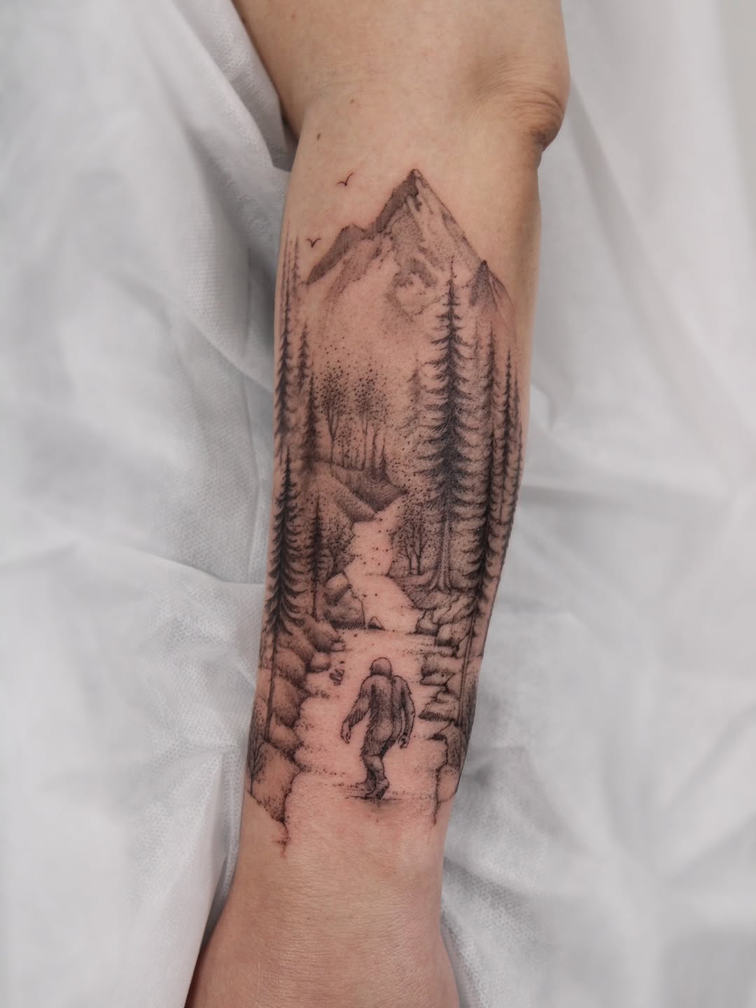Monumental mountain landscape with pine forest and lone hiker