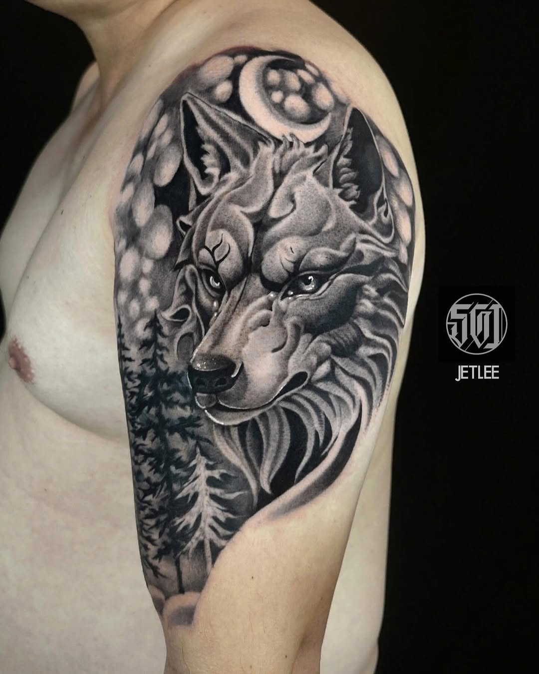 Striking black-and-gray wolf portrait with moonlit pines.