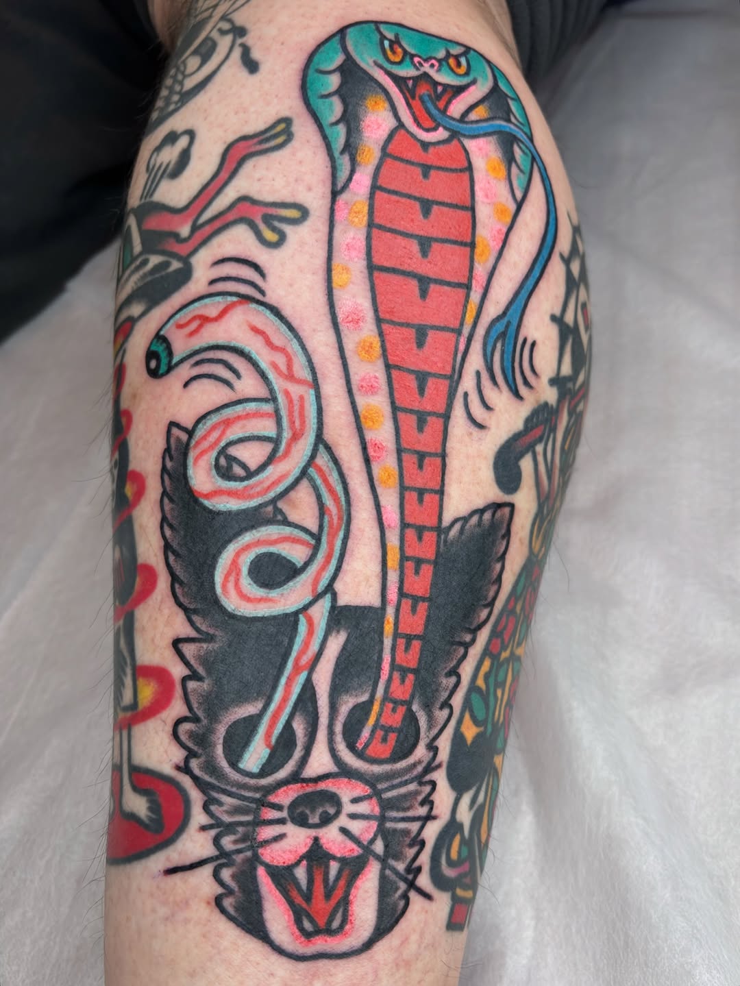 Bold neo-traditional cobra, turquoise head, pink belly, vibrant colors