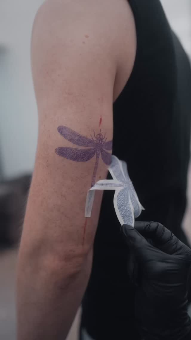 Delicate purple dragonfly in fine-line style on arm.