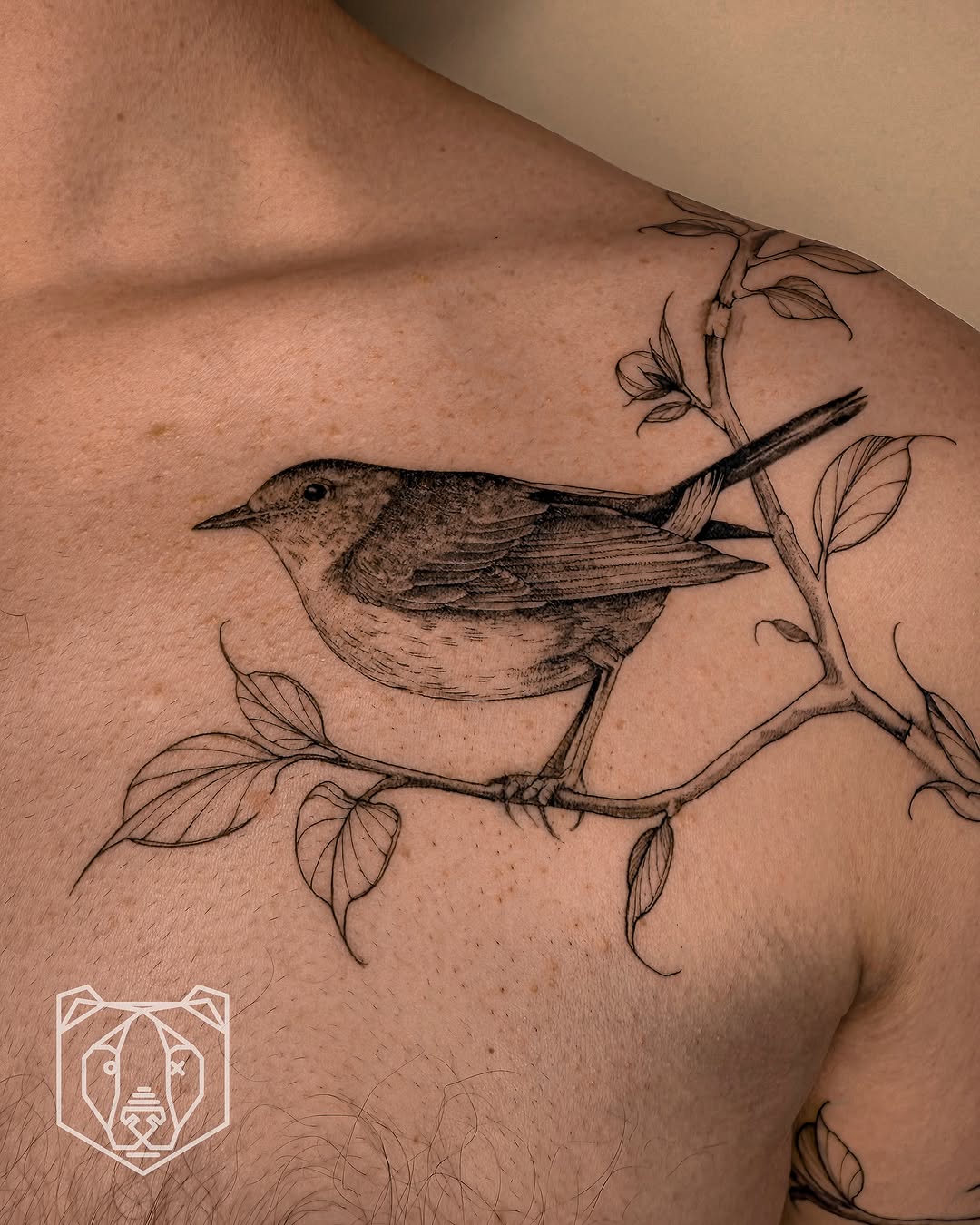 Delicate line-drawn bird perched on a twisting vine.