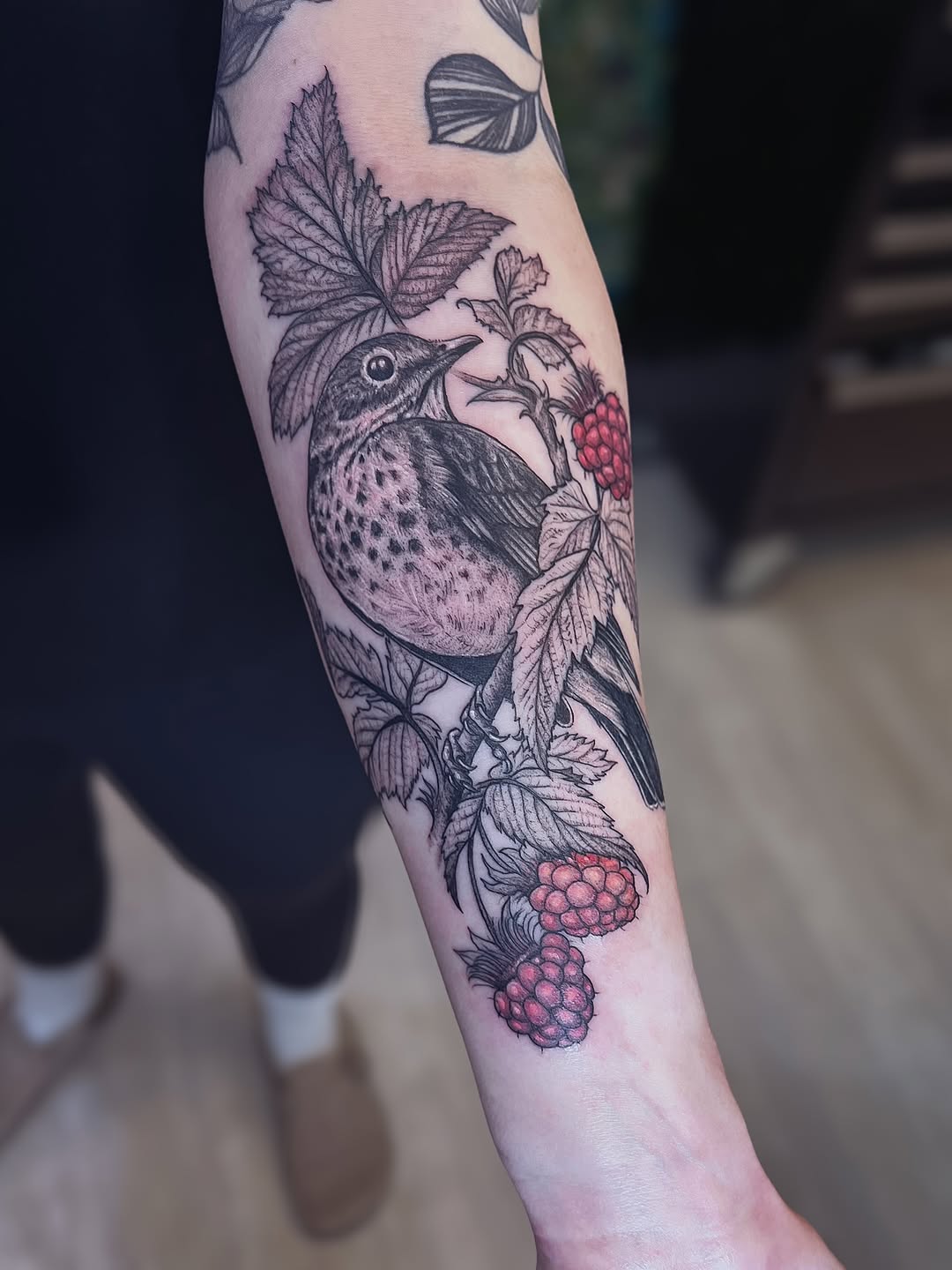 Intricate thrush perched among curling leaves and red berries.