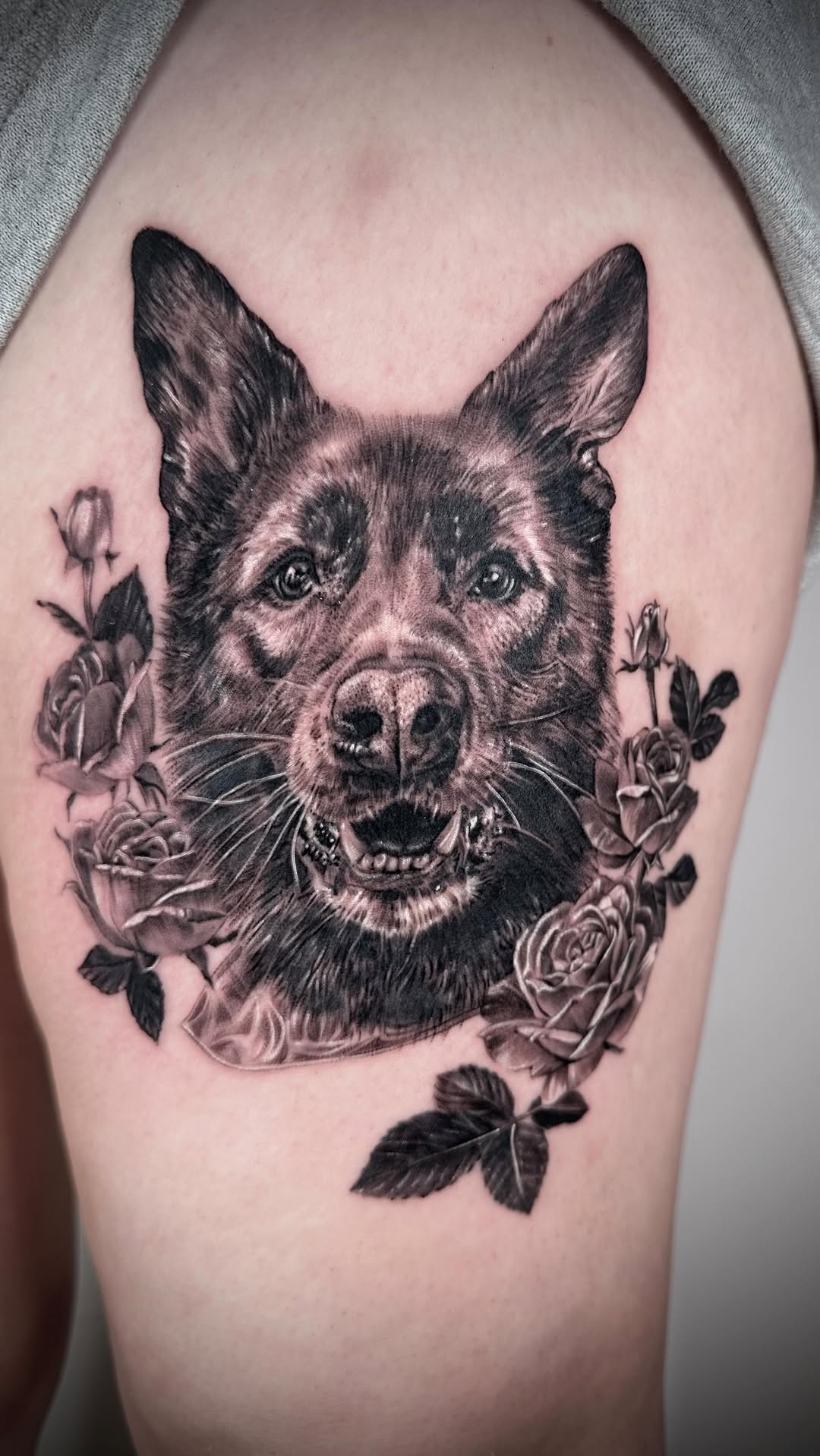 Hyper-detailed black-and-gray dog portrait with roses