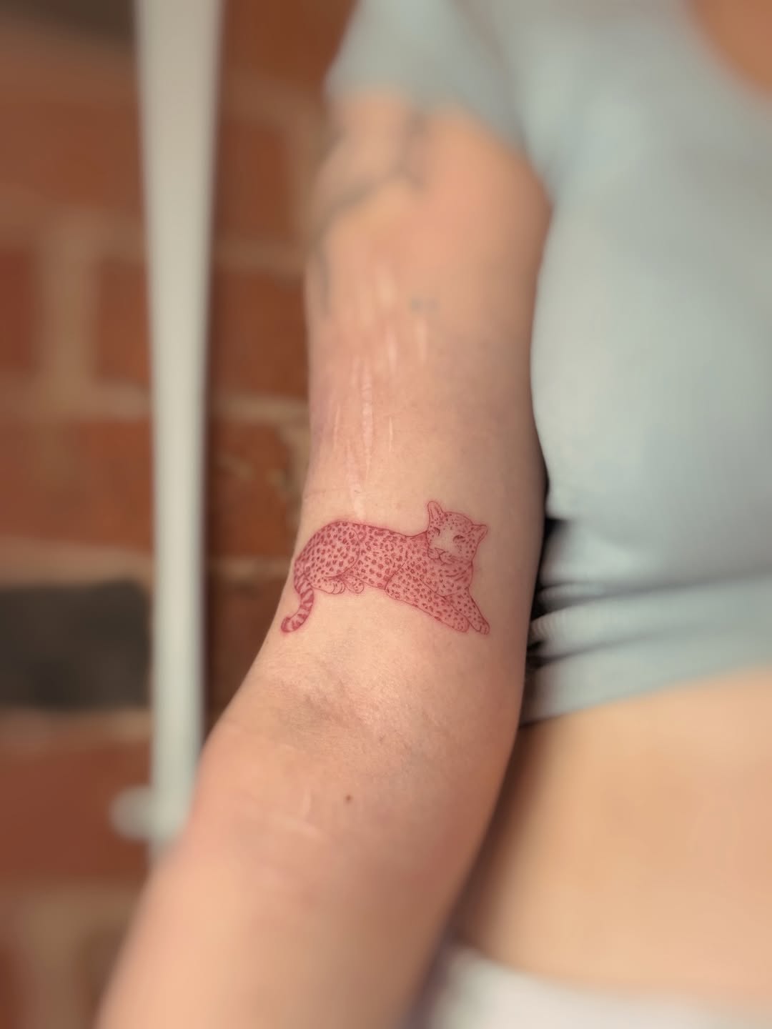 Minimalist red line leopard lounging with dotted fur