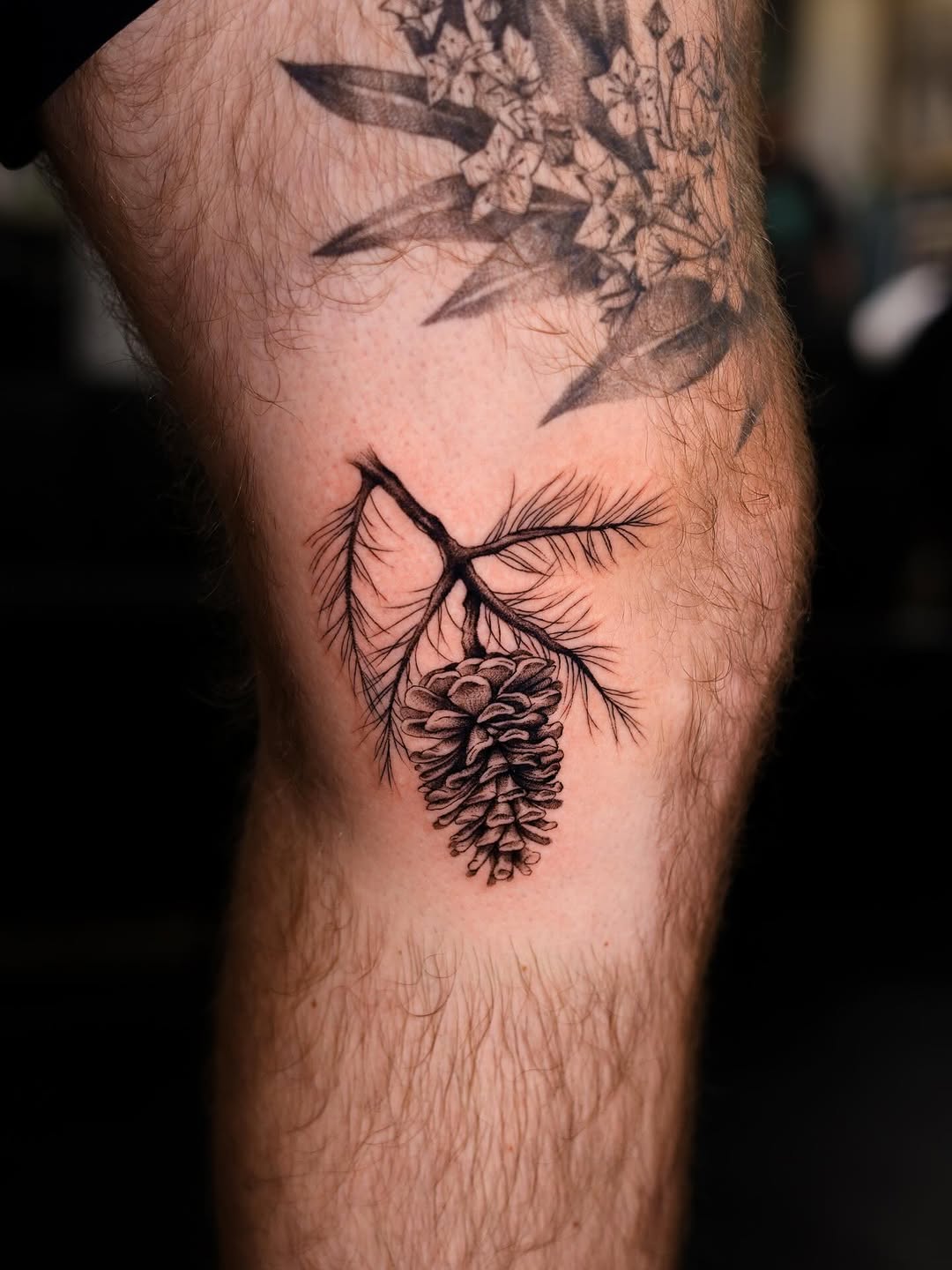 Intricate blackwork pinecone with needles and blossoms.