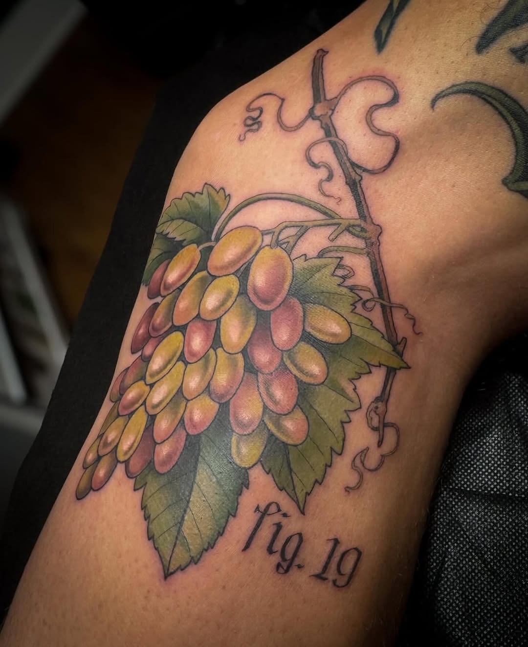 Vibrant grape cluster in bold, colorful botanical style