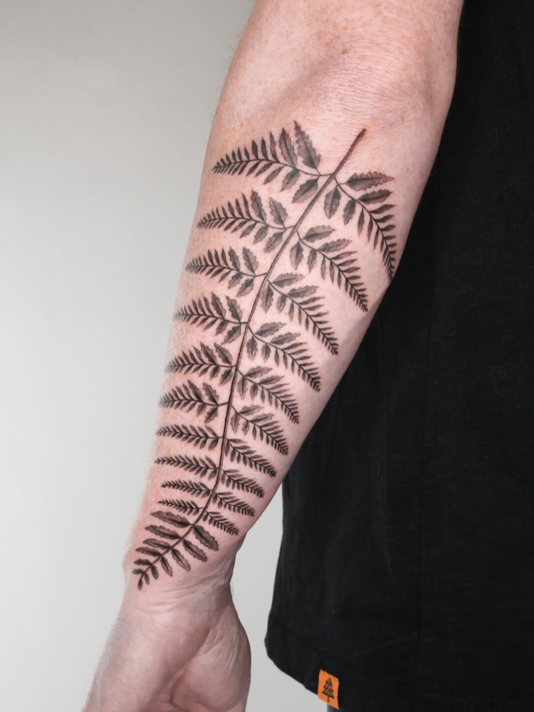 Long fern frond rendered in crisp blackwork with subtle shading